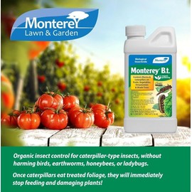 Monterey B.T. 1 Pint - Bacillus Thuringiensis Organic Insect Pest Control pt BT