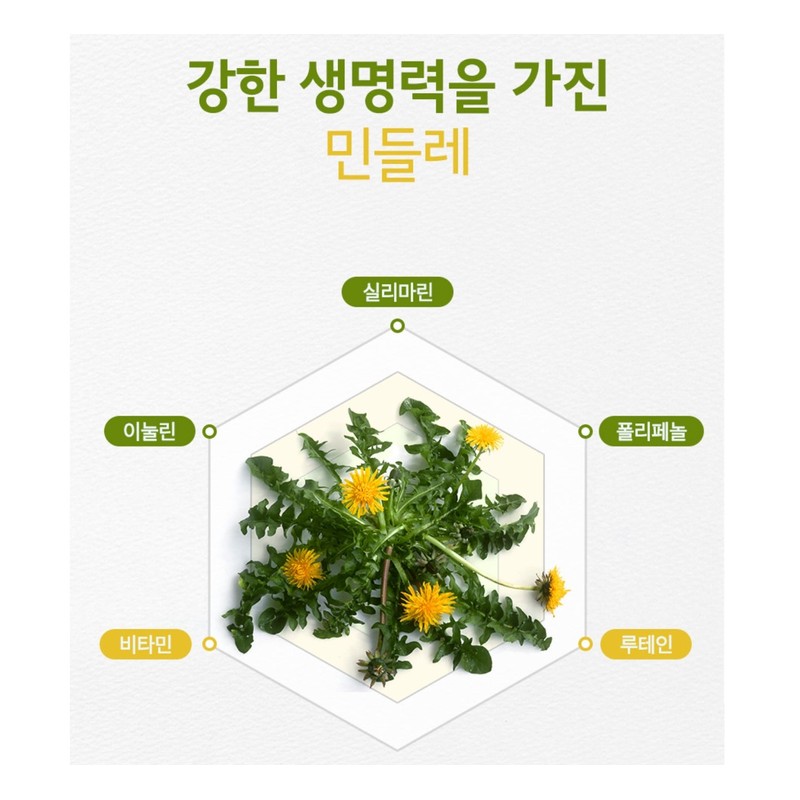 Lemon Balm Dandelion Extract Complex Powder 200g / 레몬밤 민들레