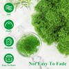 Anglekai 17.6 oz Artificial Moss for Crafts, Decorative Artificial Fake