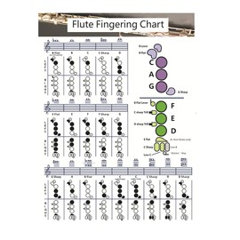 iayokocc Flute Chord Chart, Portable Flute Chord Posters, Durable Fingering Practice White Chord Chart for Flute, Flute Chord Chart Posters for Practice Chord Beginner, Flute Accessories(Size:S)