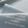 sunny day fabric Noren, Gray Mint, Width 33.5 x Length