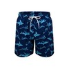 SUNDAY ROSE Boys Swim Trunks Beach Board Shorts Boys Bathing