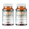 Forum Vita GastroMod Intestinal Flora Capsules, 24 g, 1180, 45