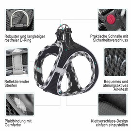 haapaw Dog Harness and Lead Set, No-Pull Adjustable Reflective Step-in Puppy Harness with Thick Padded Vest for Extra Small/Small/Medium Dogs