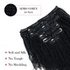 Sassina Afro Coily Clip in Human Hair Extensions for Black