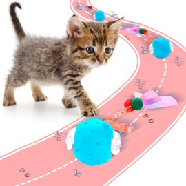 Kavsgdow Interactive Cat Toys Ball for Indoor, Cat Toys Interactive, Chirping & Motion-Activated Cats Toy Cats Electric Chirping Bird Fast Moving Rolling Ball Fast Rolling on Carpet(Blue)