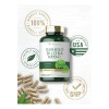 Ginkgo Biloba 6000 mg Alta Potencia | 120 Cápsulas para