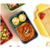 Barnabys Bento Box - Eco-friendly Lunch Box With Spoon, Fork.