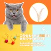 Cat Toy, Elastic Ball, Peto Toy, Feather Toy, Cat Supplies,