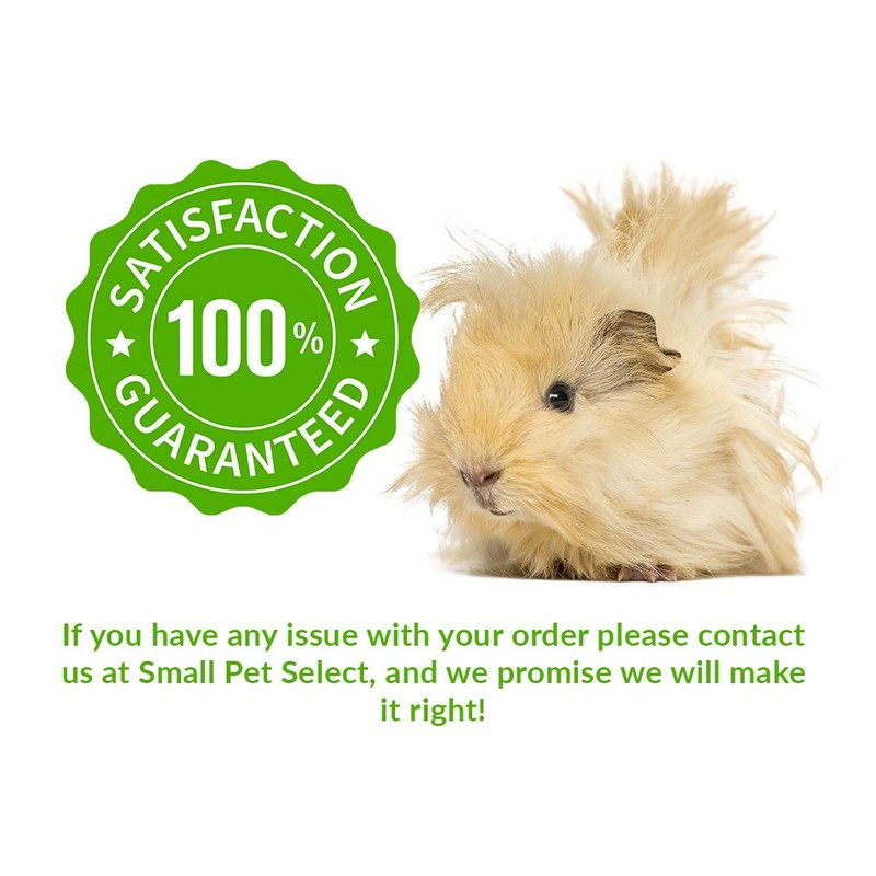 Small Pet Select - Healthy Snackers - Banana