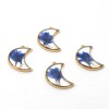 4PCS Gold Tone Real Dry Pressed Flower Resin Crescent Moon