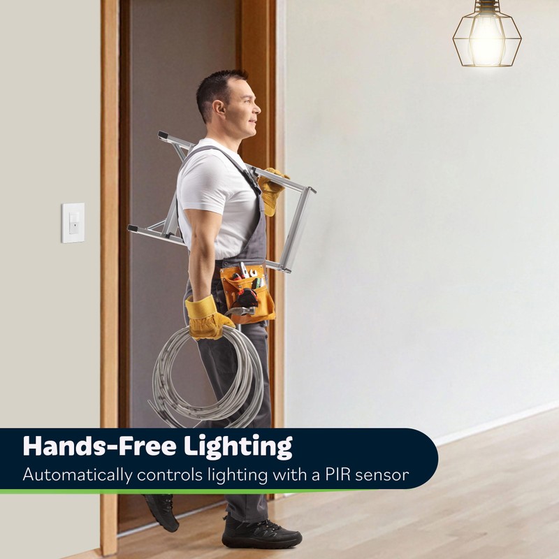 TOPGREENER Motion Sensor Switch, PIR Sensor with Ambient Light Level,