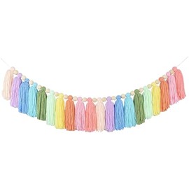 Colorful Boho Tassel Garland Pastel Tassel Banner Fringe Garland Backdrop Tassel String Garland Party Decor Tassel Wall Hanging Decoration with Wood Beads for Home Classroom Rainbow