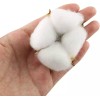 Tag 테그 코튼 볼 20PCS 천연 흰색 건조 포드로 농가