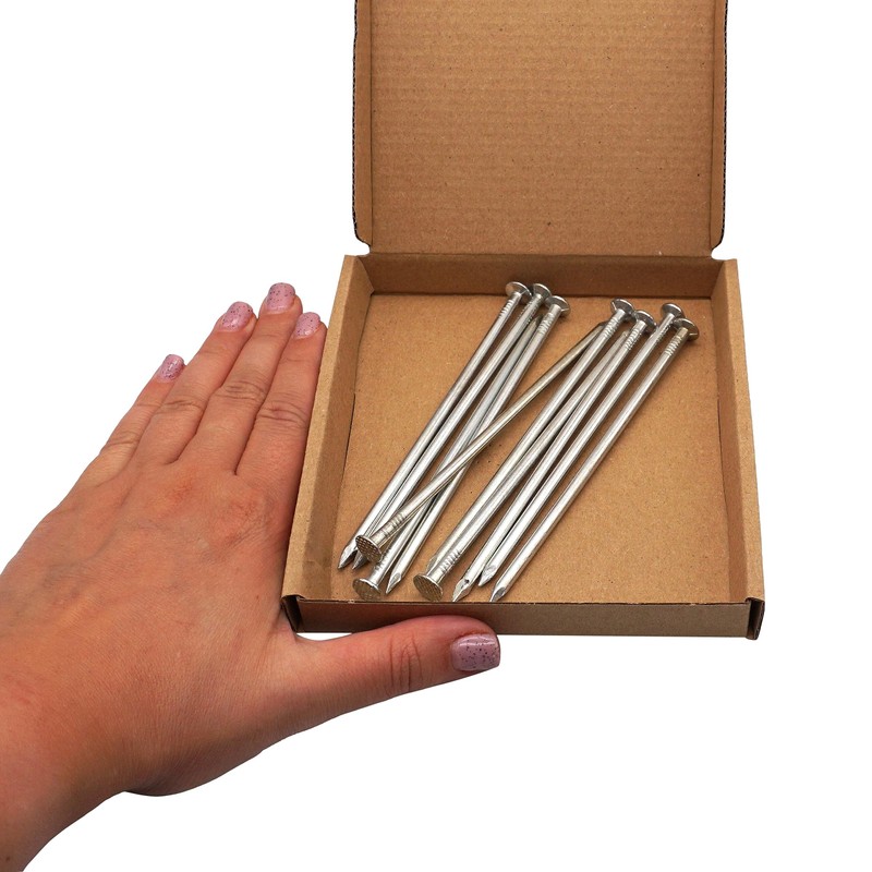 SKIR'CO (10 pcs) Zinc Plated Construction Nails 4.0 x 120