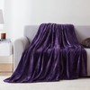 EHEYCIGA Fleece Blanket Throws for Sofas Fluffy Warm Soft Blanket