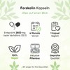 Forskolin Extract - 120 Capsules - 4 Month Supply -