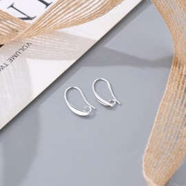 14K Gold Plated and Silver Earring Hooks, 230PCS Earring Findings for Jewelry Making Hypoallergenic Ear Wires for DIY Bulk Pack