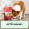 Open Farm, Ancient Grains Dry Dog Food for Puppies, Protein-Rich