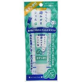 Daily Clean Easy Toothpaste Gel, Breath Refreshing, Mint, 1.1 oz (30 g)