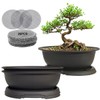 MUZHI 3 Pack Oval Bonsai Training Pot with Drainage Tray,