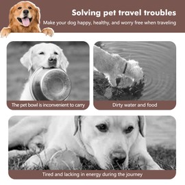 ZNPET Travel Dog Bowls, Portable Food and Water Bowl for Dogs and Cats 2-in-1, Foldable Feeding and Food Storage Solution for Medium & Large Dogs, Ideal for Traveling & Camping (Khaki, Large)