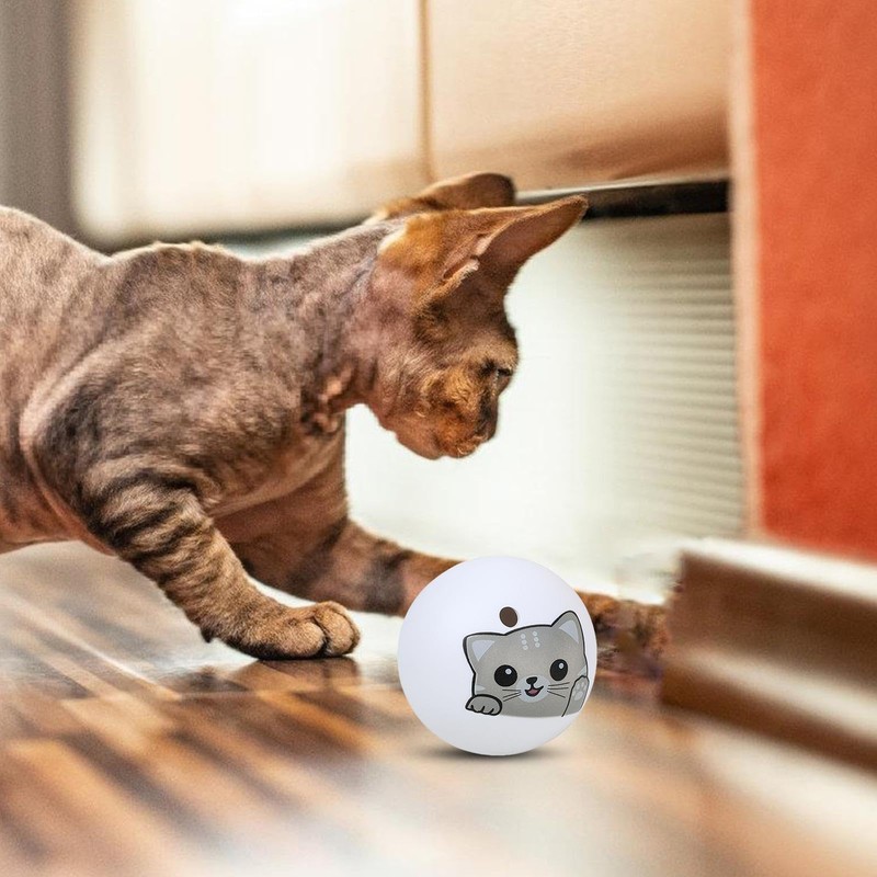 Cat Balls That Make Sound | Interactive Cat Toys for