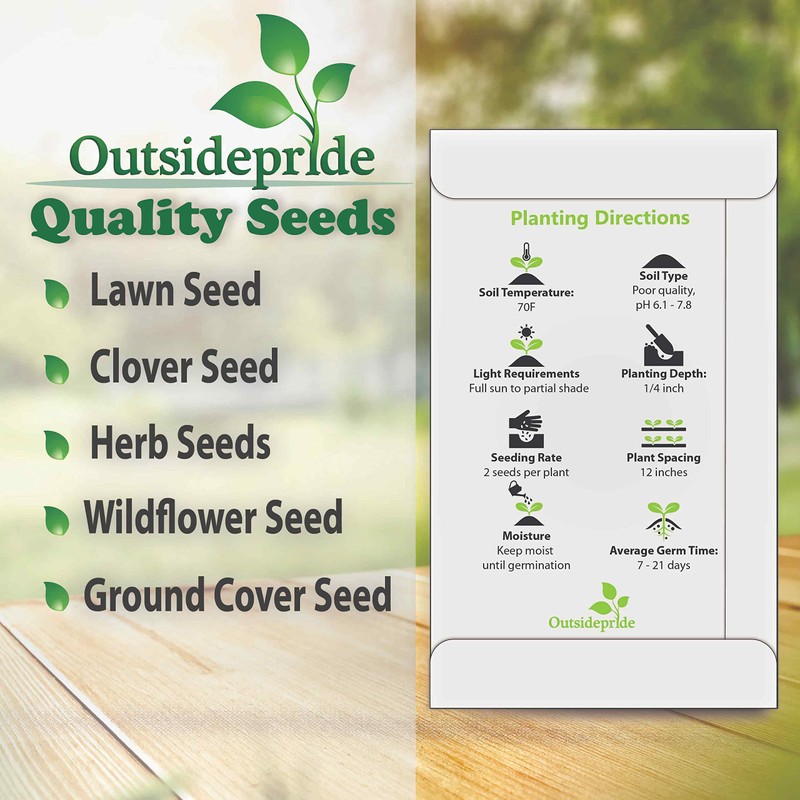 Outsidepride 50 Seeds Annual Ipomoea Nil Morning Glory Chocolate Climbing