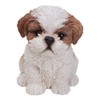 Shih Tzu Puppy Pet Pal by Vivid Arts, Brown &
