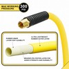 1/2 Inch x 6ft. Hybrid Air Hose with 1/2 in.