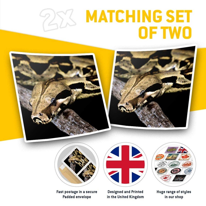 2 x Square 7.5cm Vinyl Stickers - Boa Constrictor Snake