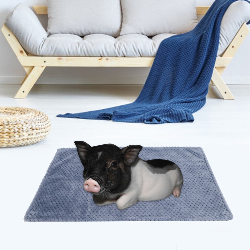 Washable Pet Blanket Winter Warm Thick Dog Throw Blanket Sleeping