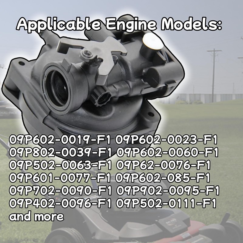 Viclaakesi 799583 593261 Carburetor Kits For Briggs&Stratton 595656 591979 591160