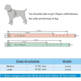 haoyueer New Unisex Studded Leather Dog Collars Medium Large Dog Necklace for Pitbull Doberman Sizes M L … (M, Black)