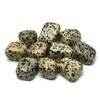 GeoFossils Dalmation Jasper Tumble Stone (20-25mm) Single Stone