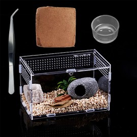 TREELF Micro Habitat Terrarium Enclosure Kit（4pc Set）,Jumping Spider Enclosure,Spider Enclosure,Tarantula Enclosure, Acrylic Reptile Enclosure(8 * 4.7 * 4.7 Inches)