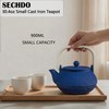 SECHUDO 30.4oz Small Tea Kettle, Blue Cast Iron Teapot with