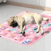 OKONOS Pet Cooling Mat Summer Cold Bed Pad for Cats