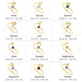 LUSTRE AND LIGHT Natural Amethyst Stackable Ring for Women with Pisces Zodiac Sign in Sterling Silver (Yellow Gold Vermeil), Birthstone Jewelry Gifts for Her (US-7, Bezel-Set)