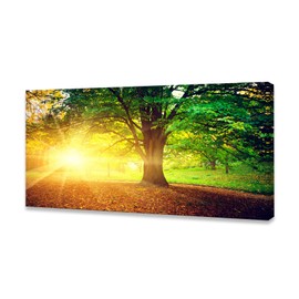 Baisuwallart S06162 Wall Art Decor Canvas Print Picture Sunrise Trees 1 Panel Natural Forest Painting Yellow Artwork for Bedroom Kitchen Office Home Wall Decor Stretched and Framed Ready to Hang