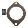 Western 56185 Snowplow Pump Suction Filter with 1 Western/Fisher Snow