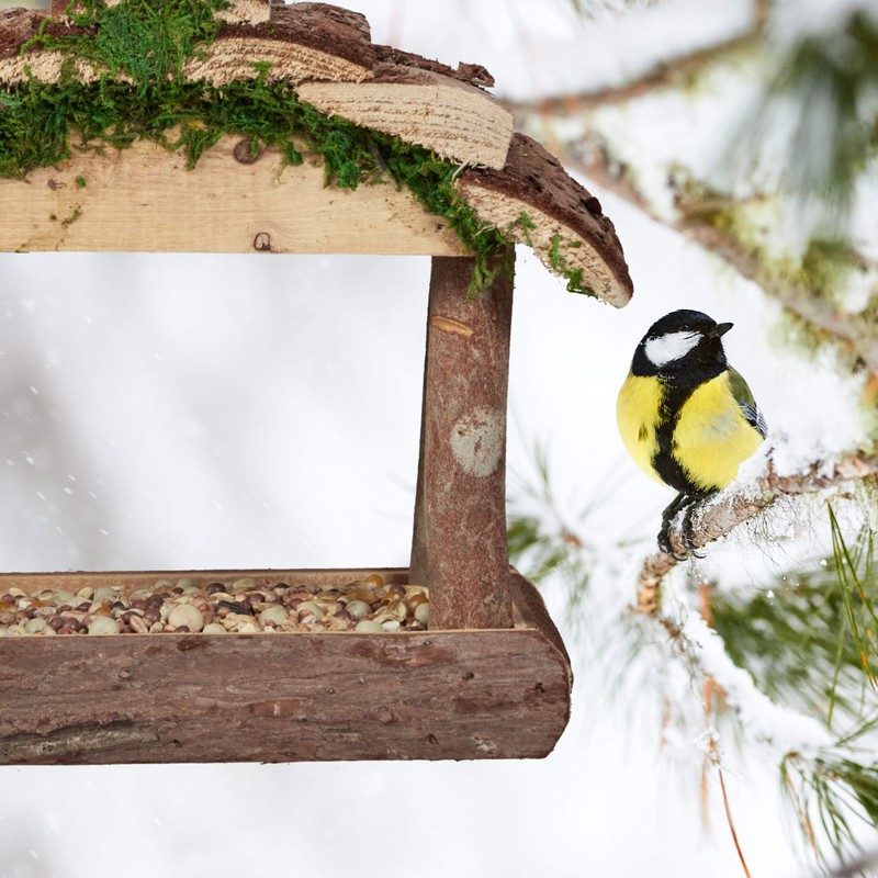 Relaxdays Wooden Bird Feeder for Hanging, HBD: 19 x 22