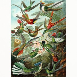 CafePress Vintage Hummingbirds Decorative Illustration Standard Size Playing Cards