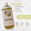 Shampoo De Limón Limpieza Profunda Productos Mart Mexico 500 Ml