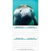 TURNER PHOTOGRAPHIC Sea Creatures 12x12 Photo Wall Calendar (26998940107)