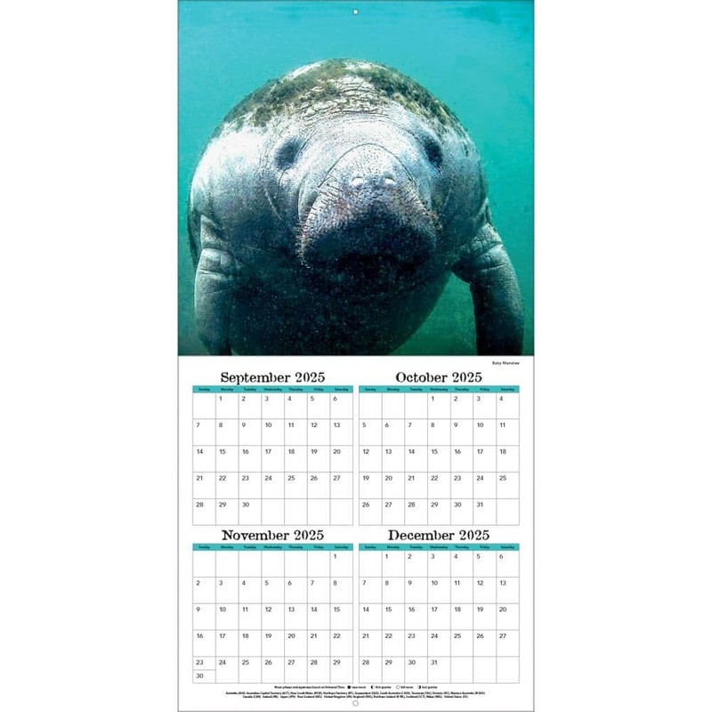 TURNER PHOTOGRAPHIC Sea Creatures 12x12 Photo Wall Calendar (26998940107)