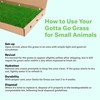 Gotta Go Grass for Small Animals – Natural Real Grass