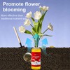 Limetown Plant Vitality Elixir, Money Tree Fertilizer, Limetown Phyto Vitamin