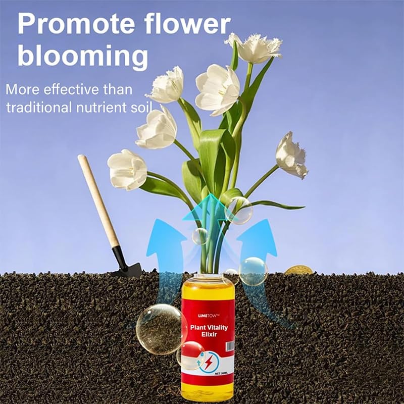 Limetown Plant Vitality Elixir, Money Tree Fertilizer, Limetown Phyto Vitamin