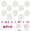 Set of 10 Nail Color Chart (Oval, Clear)